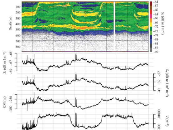 Echometrics